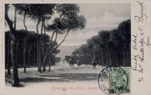 André Terzis & fils, Promenade des pins à Beyrouth, Carte postale, vers 1903, © Collection musée Nicéphore Niépce - ville de Chalon-sur-Saône